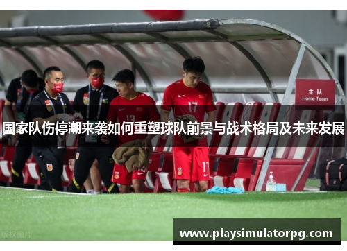国家队伤停潮来袭如何重塑球队前景与战术格局及未来发展